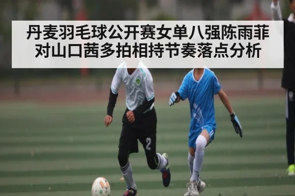丹麦羽毛球公开赛女单八强陈雨菲对山口茜多拍相持节奏落点分析